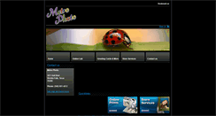 Desktop Screenshot of metrophoto.com